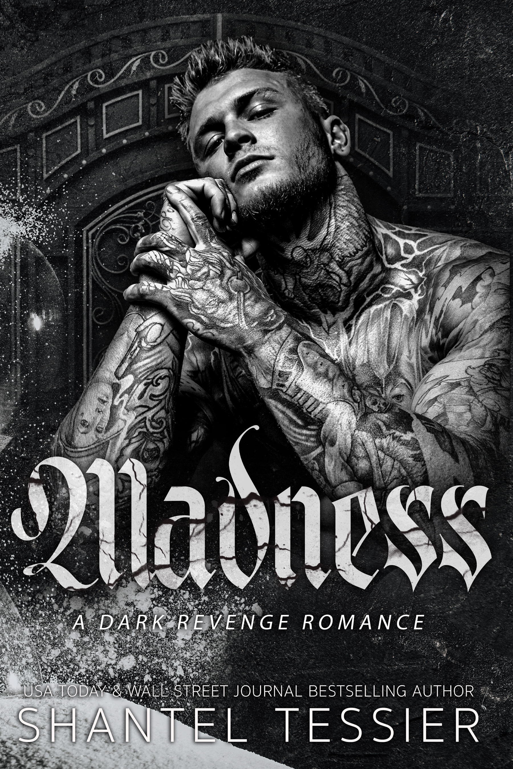 Madness book cover