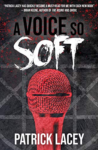 A Voice So Soft book cover