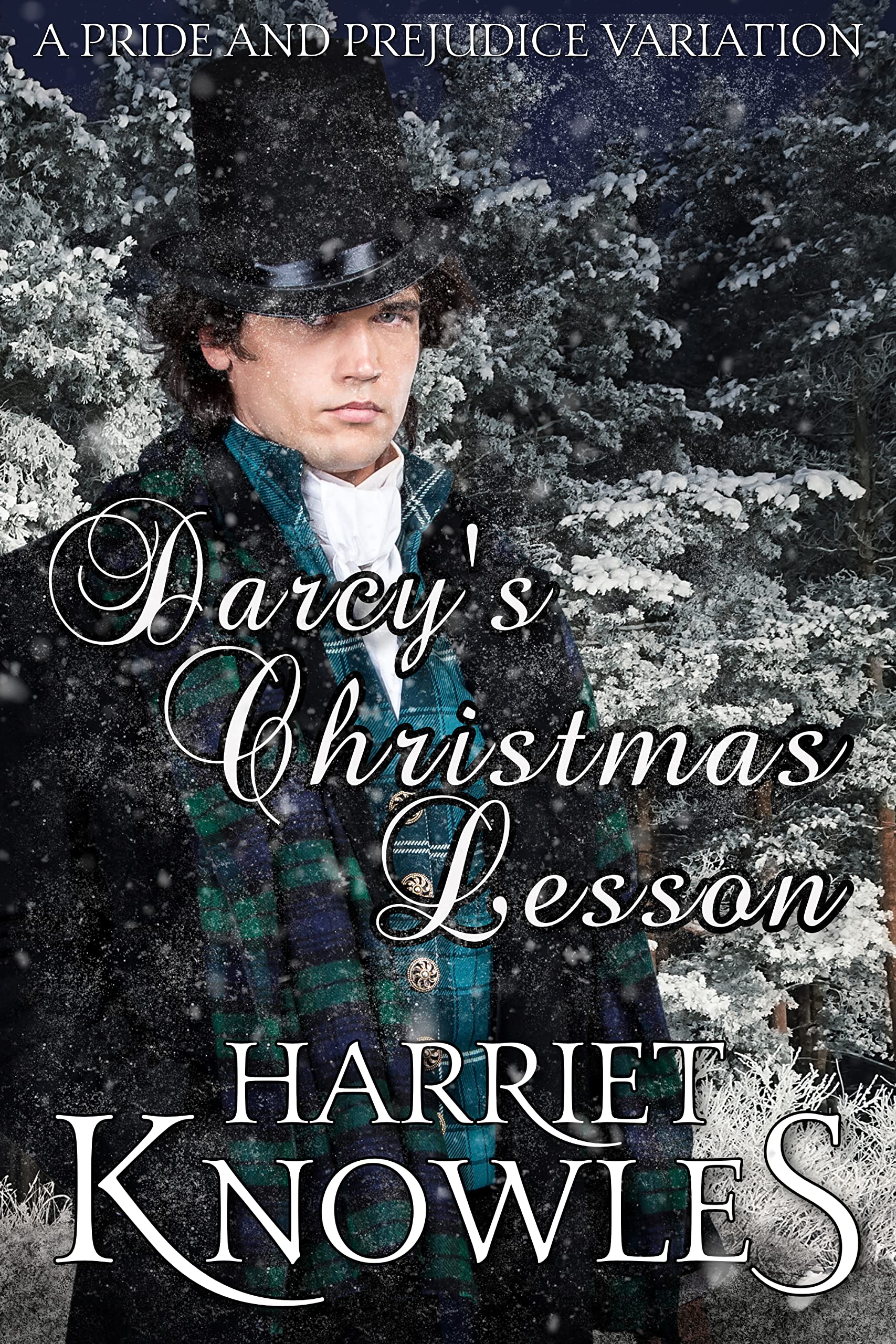 Darcy's Christmas Lesson book cover