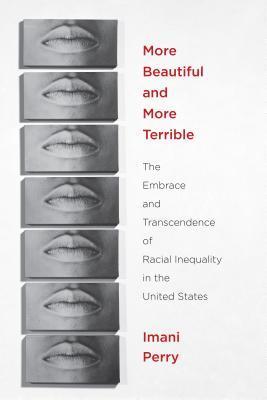 More Beautiful and More Terrible book cover