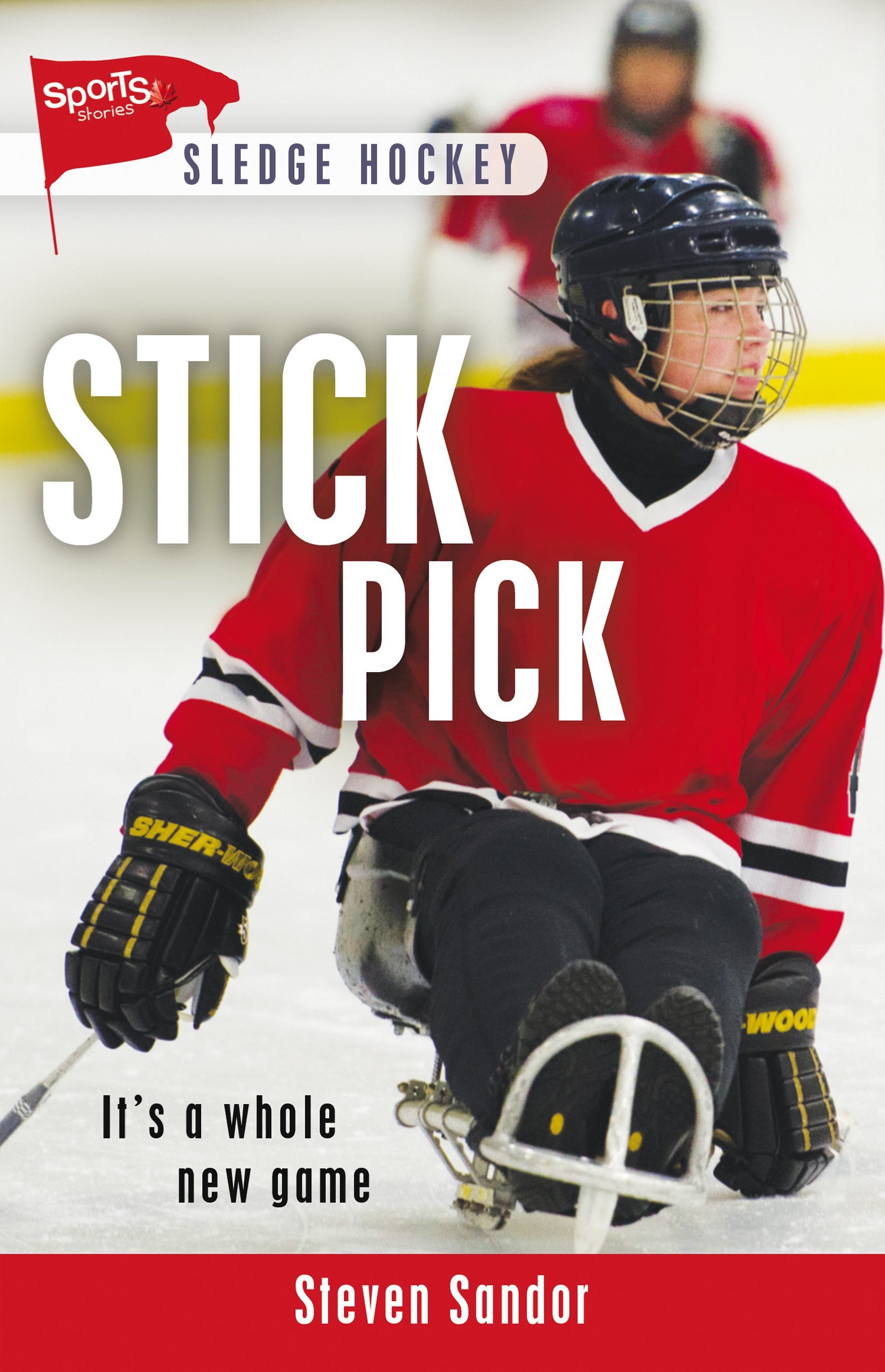 Stick Pick book cover