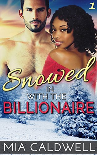 Snowed in with the Billionaire book cover 1