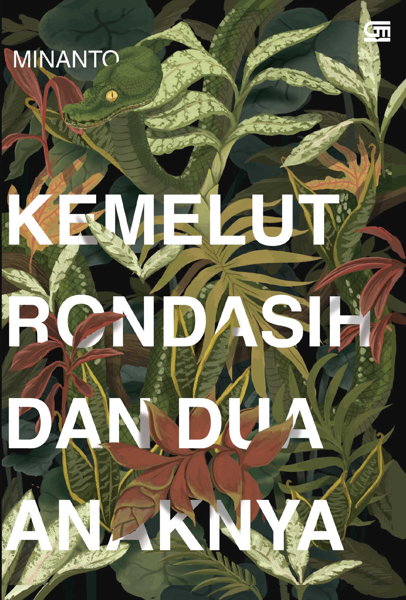 Kemelut Rondasih dan Dua Anaknya book cover