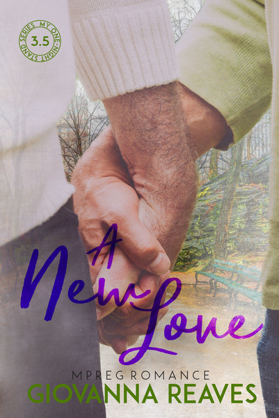 A New Love book cover