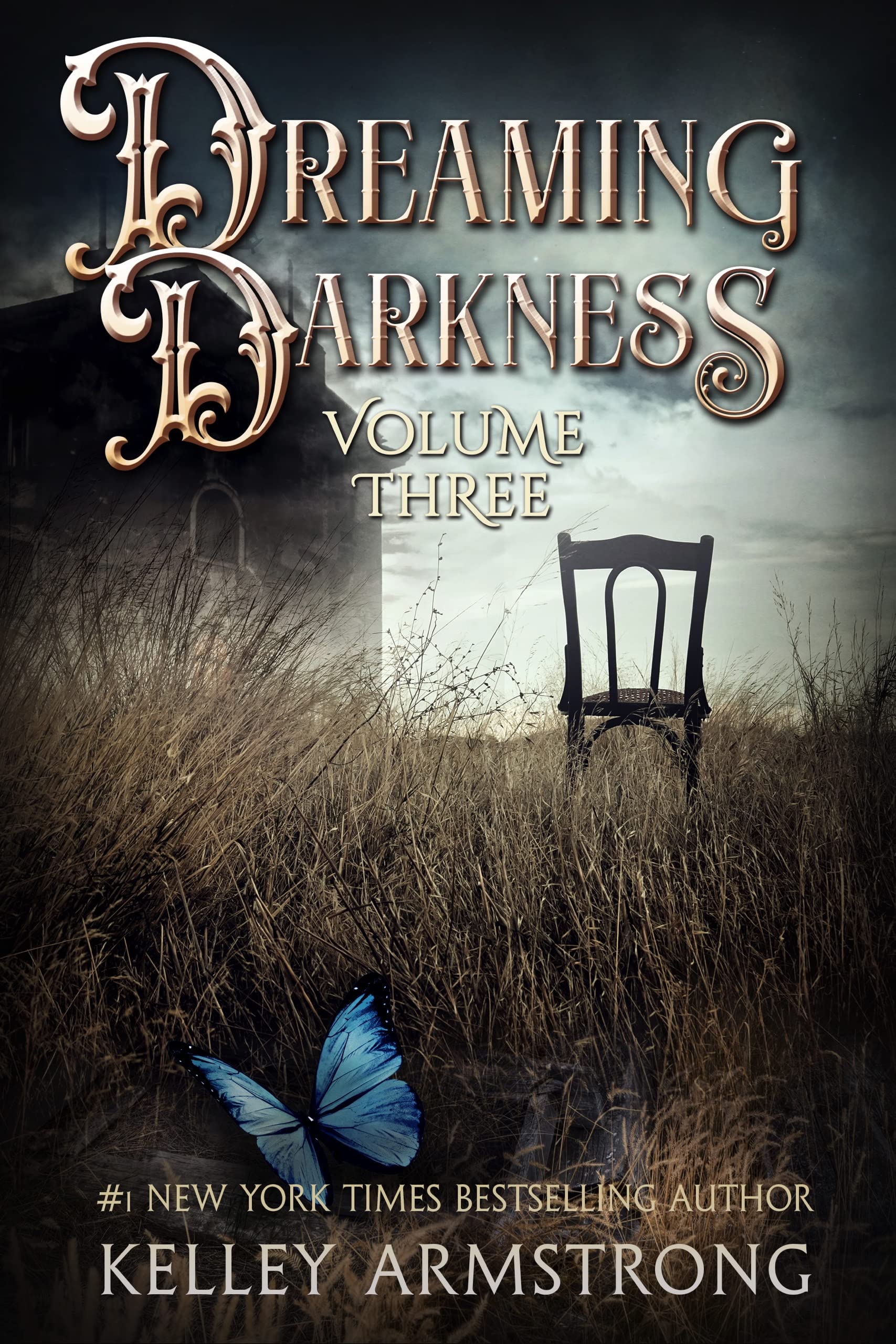 Dreaming Darkness book cover 3