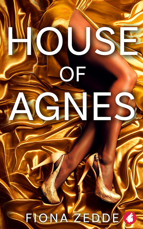 House of Agnes book cover