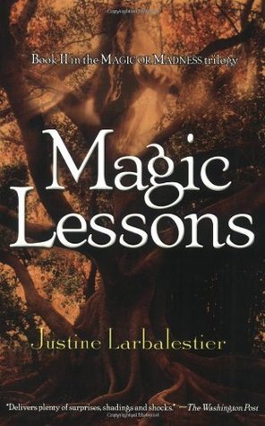 Magic or Madness book cover 2