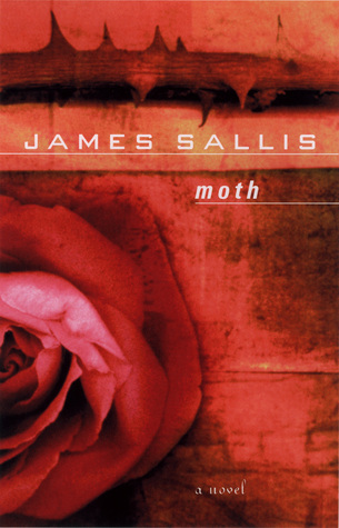 Moth book cover