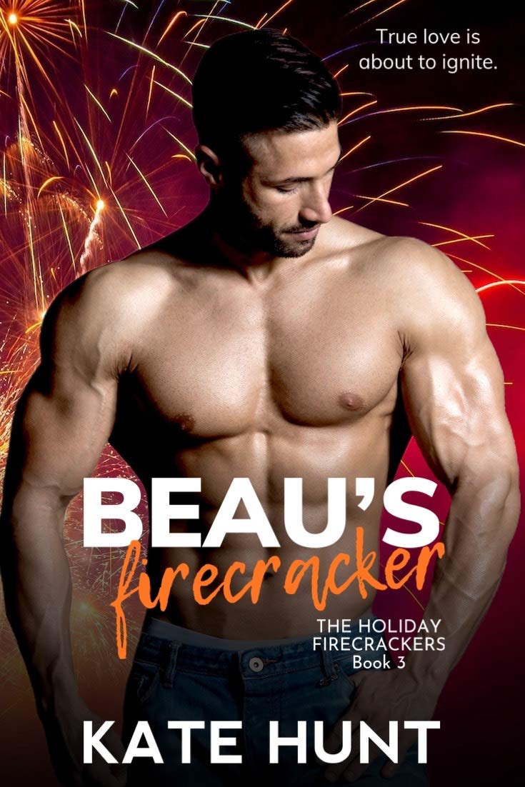 The Holiday Firecrackers book cover 3