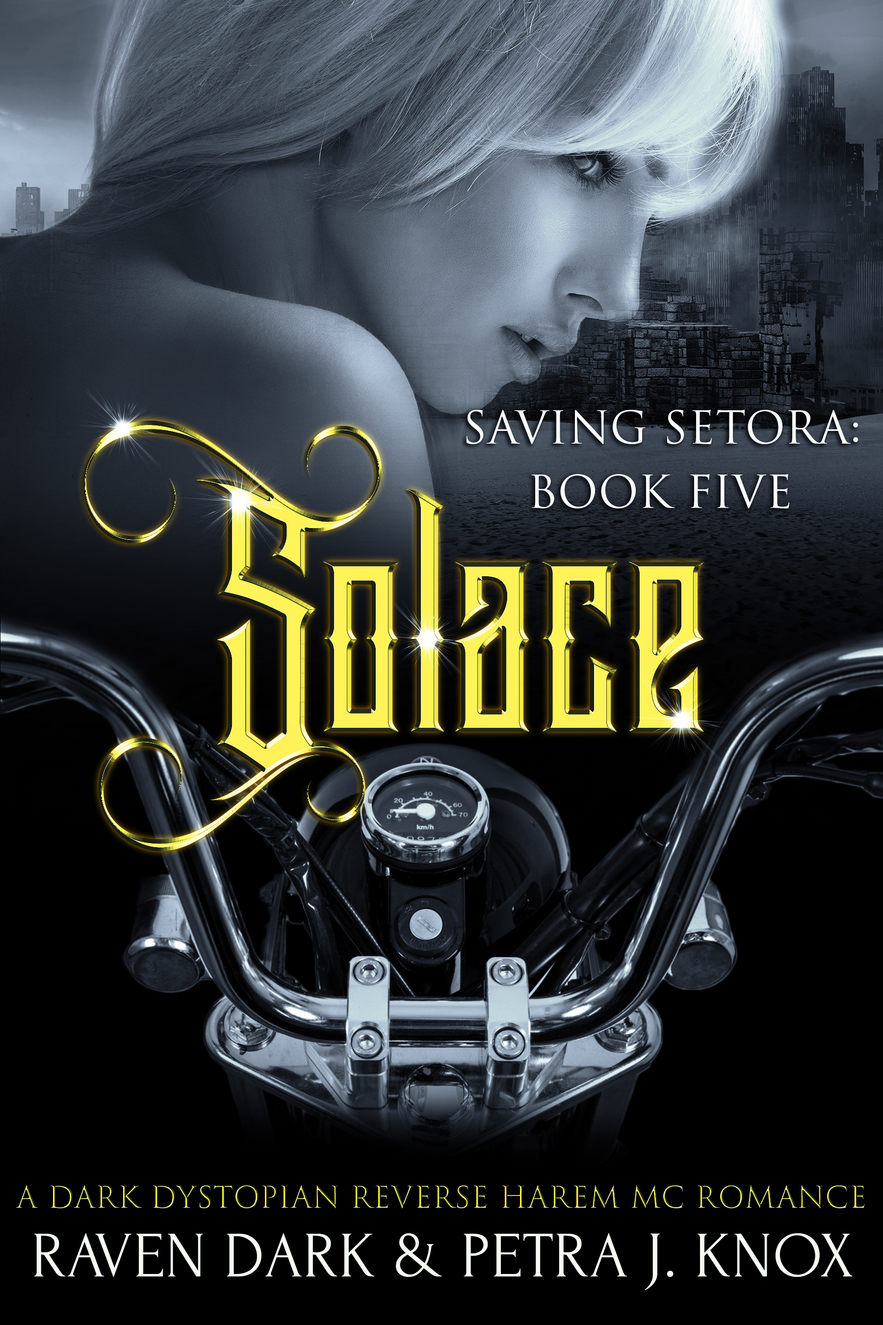 Solace book cover