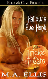 Hot Hendersons book cover 2