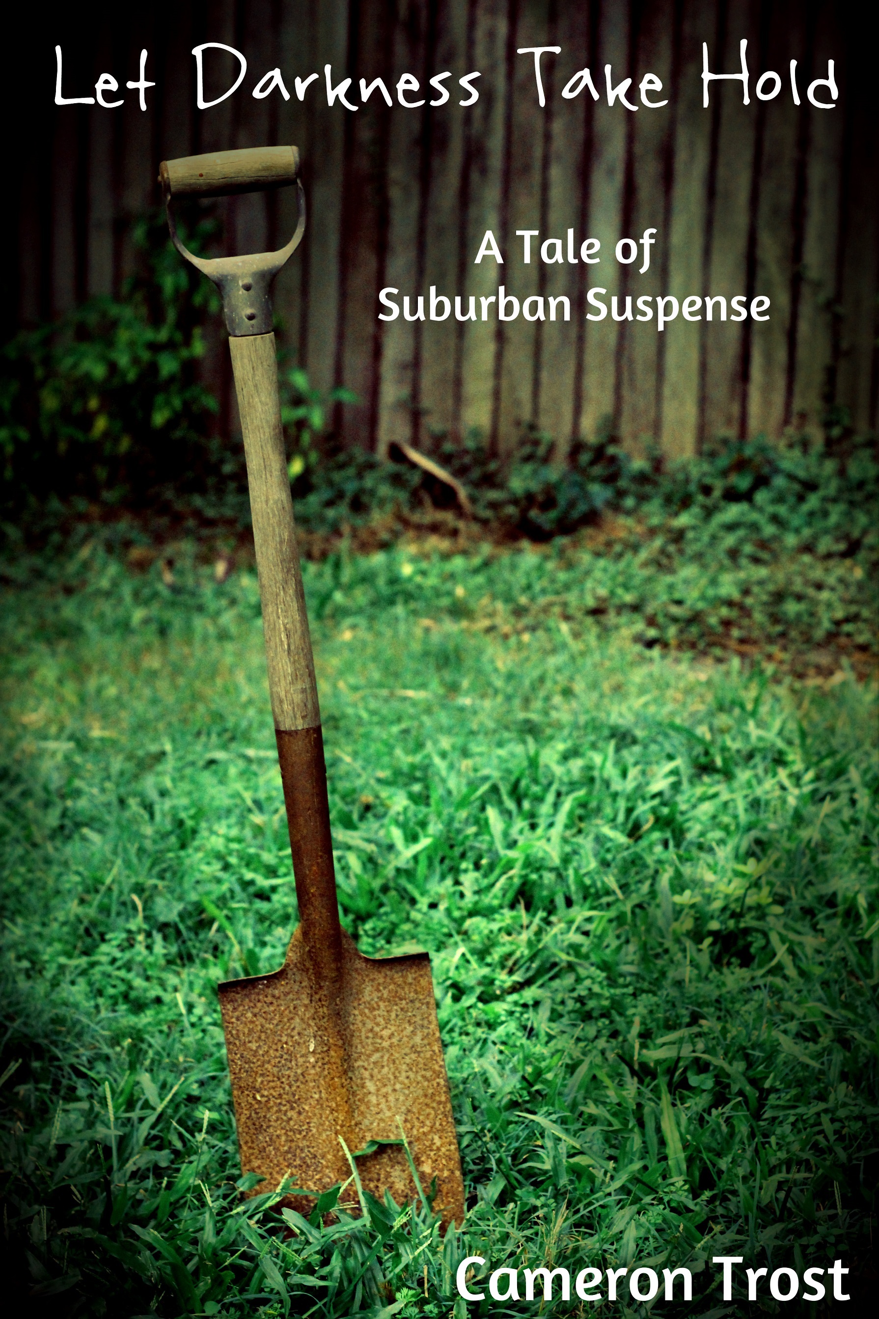 Let Darkness Take Hold book cover
