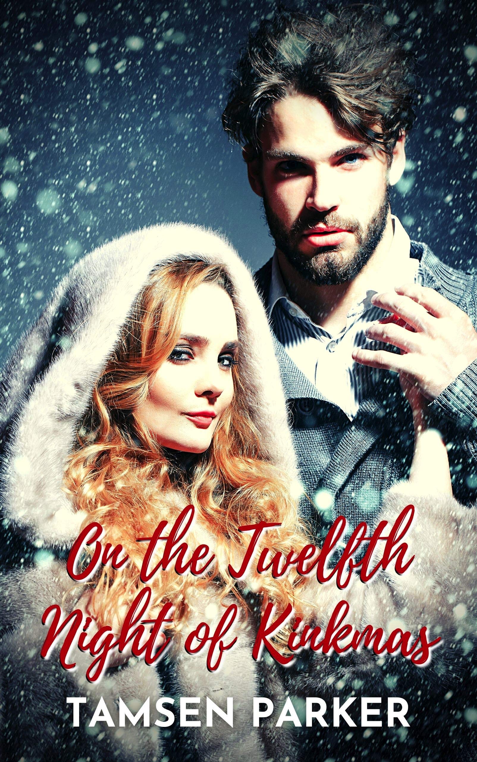 On the Twelfth Night of Kinkmas book cover