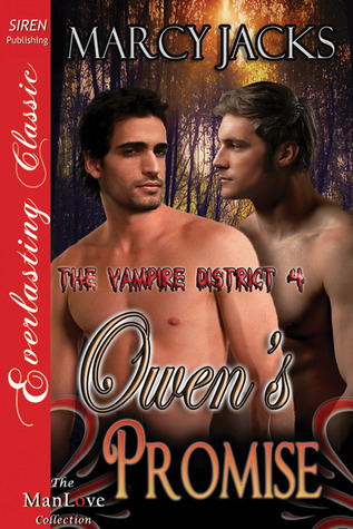 Owen's Promise book cover