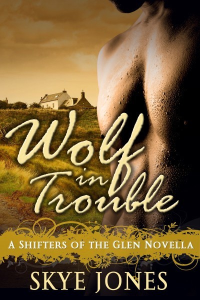 Wolf In Trouble book cover