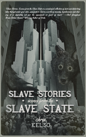 Slave Stories book cover