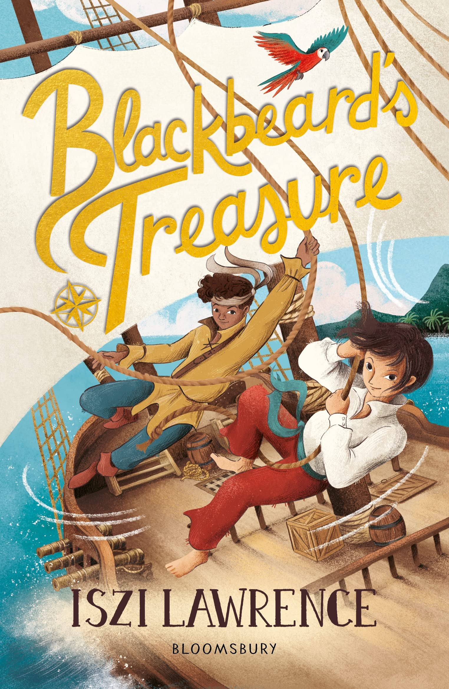 Blackbeard's Treasure book cover