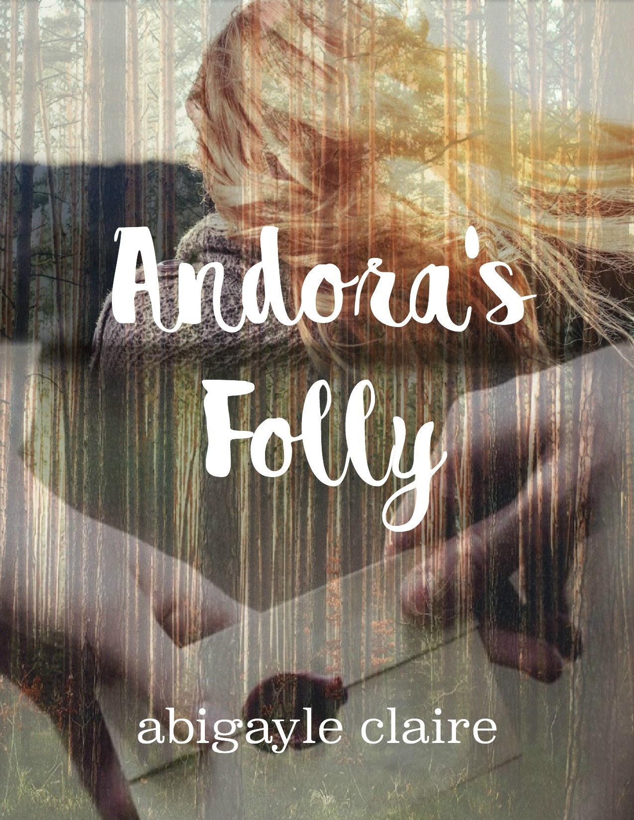 Andora's Folly book cover