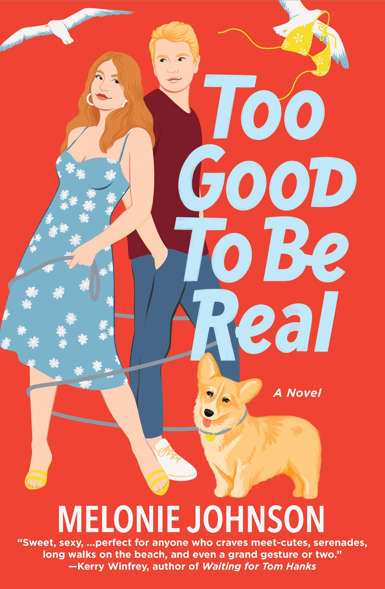 Too Good to Be Real book cover