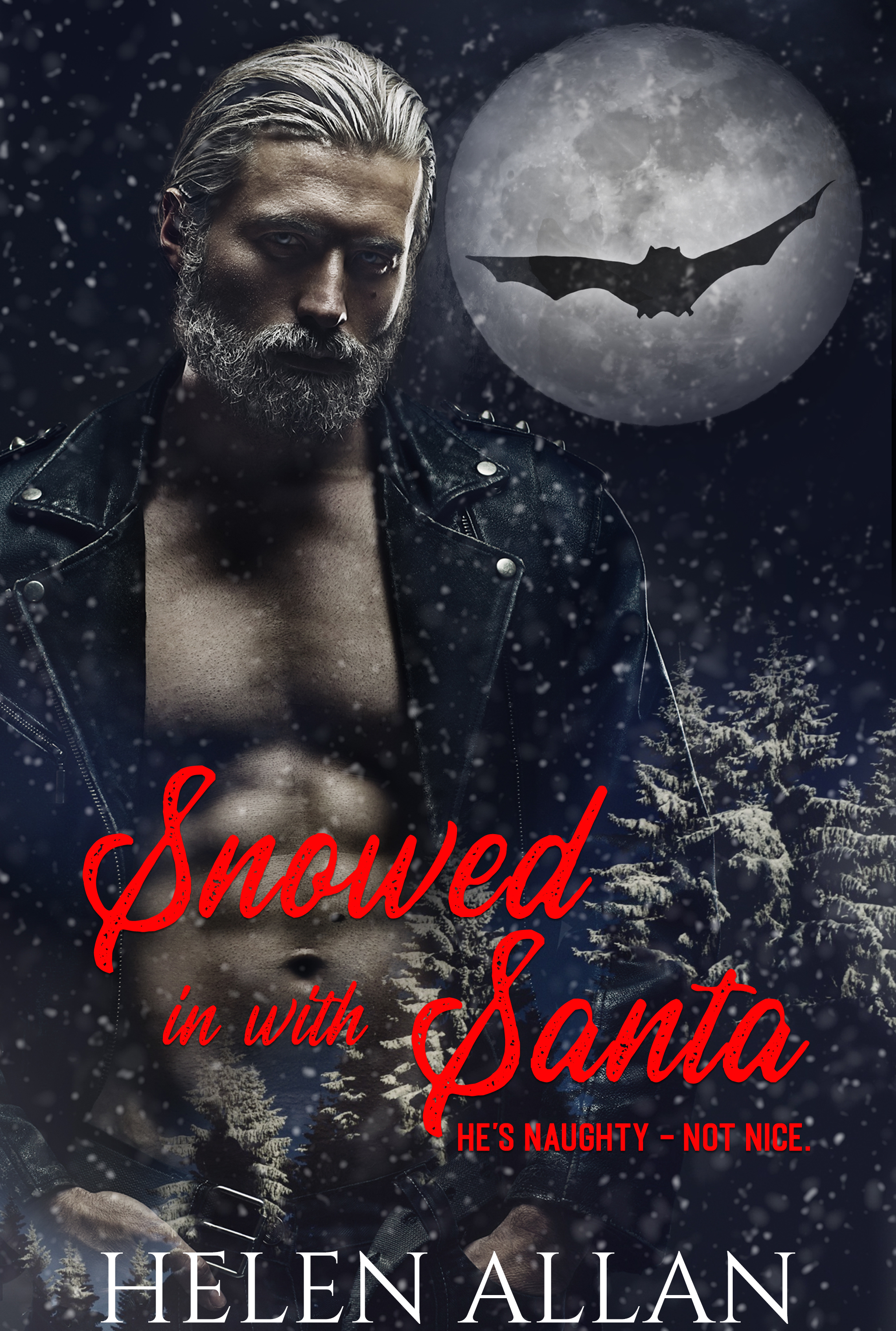 Snowed in With Santa book cover