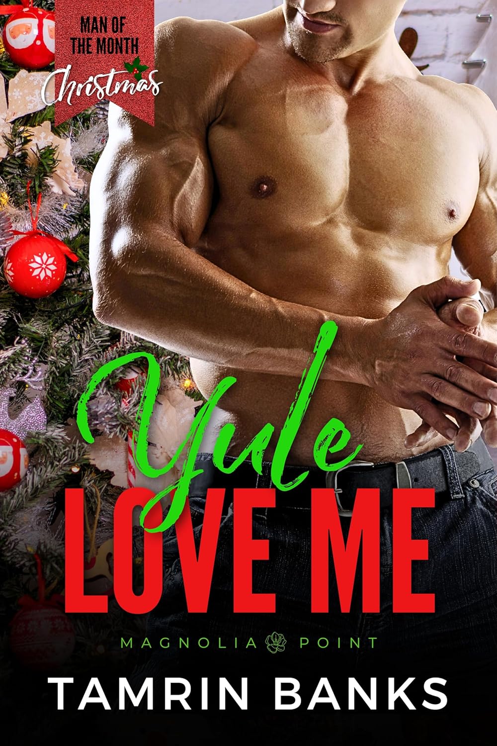 Yule Love Me book cover