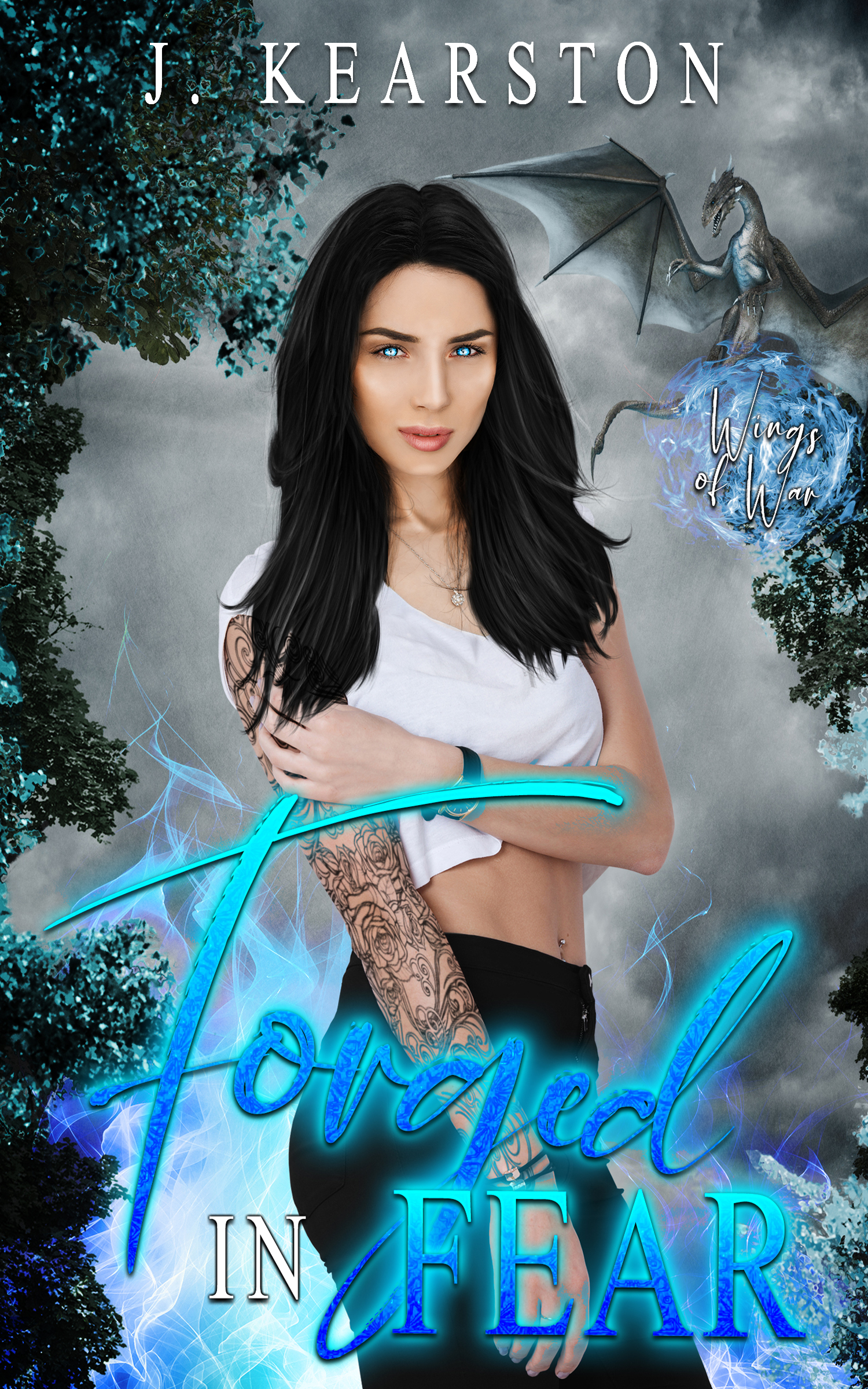 Wings of War book cover 2