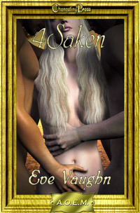 4Saken book cover