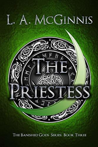 The Banished Gods book cover 3