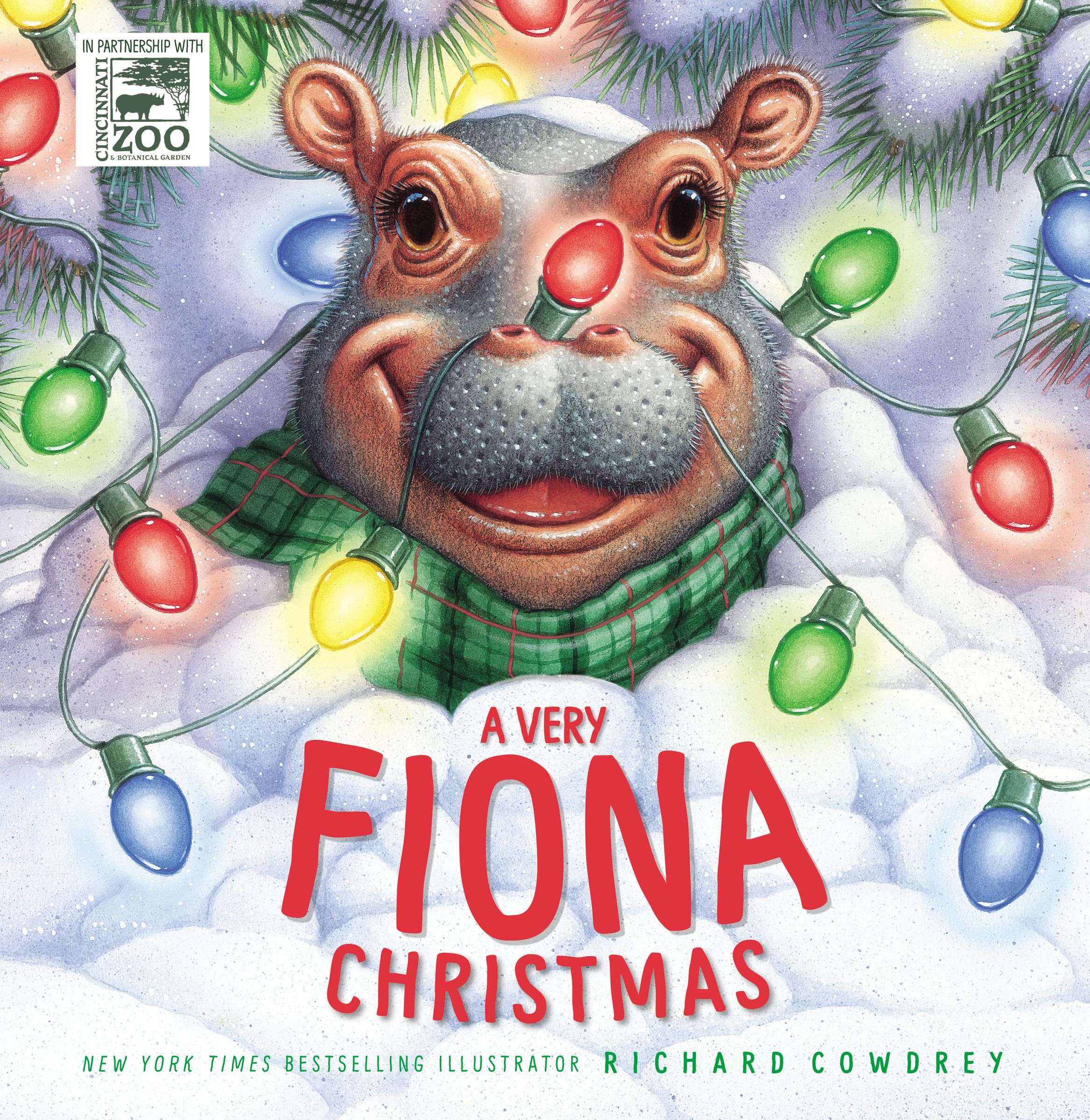 A Very Fiona Christmas book cover