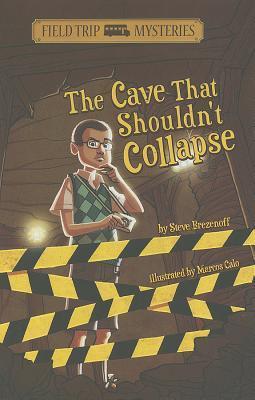 Field Trip Mysteries book cover