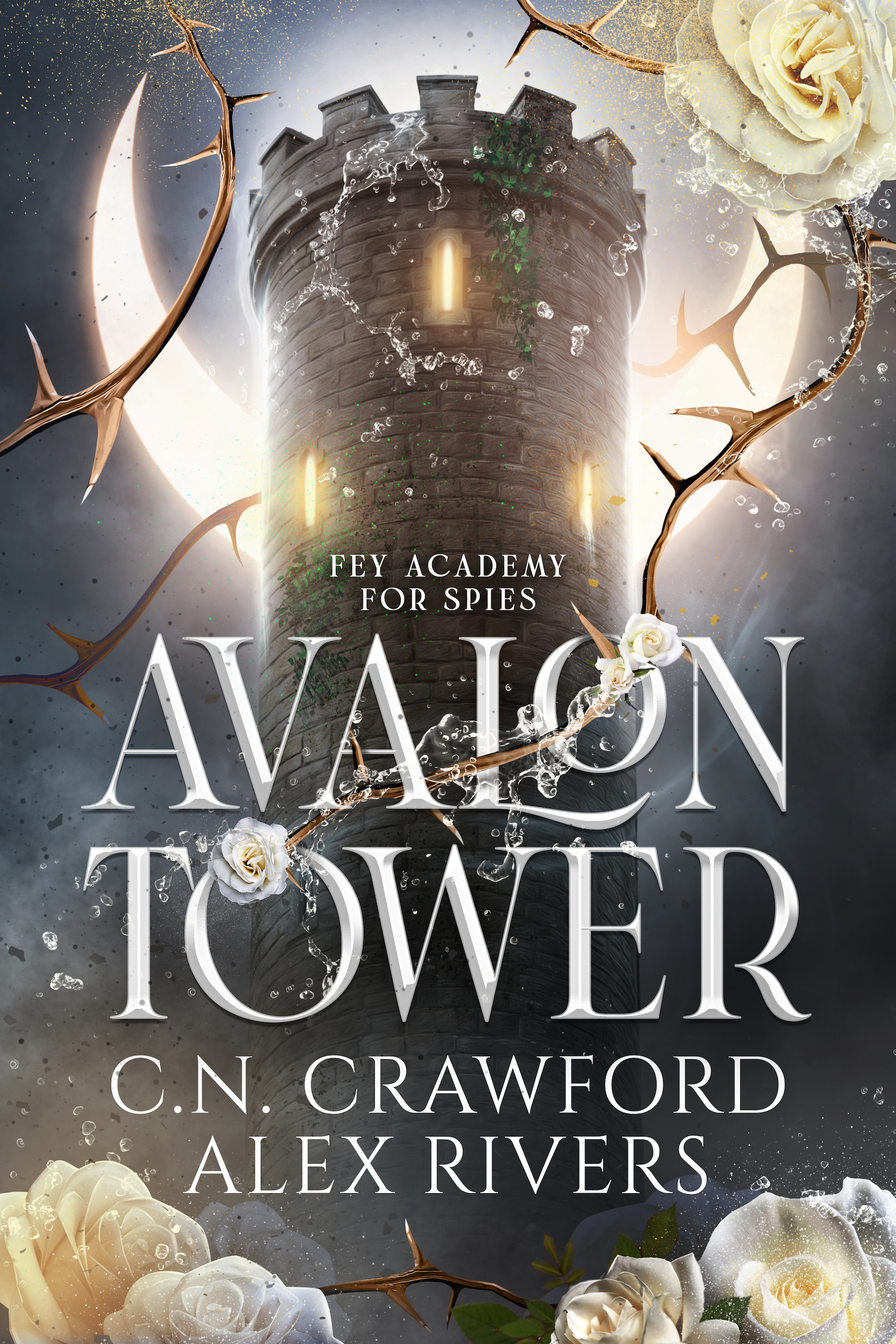 Fey Spy Academy book cover 1