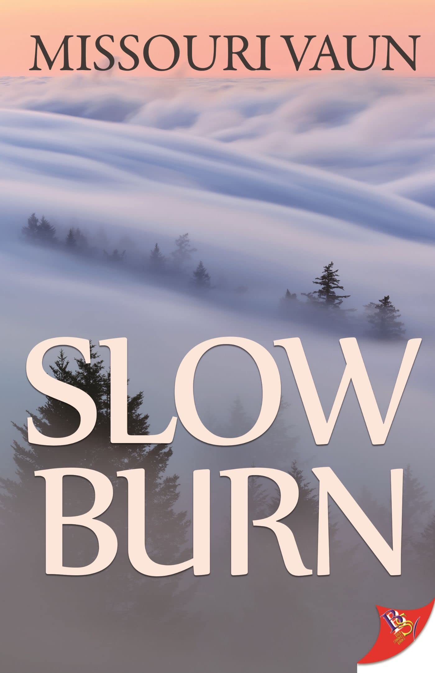 Slow Burn book cover