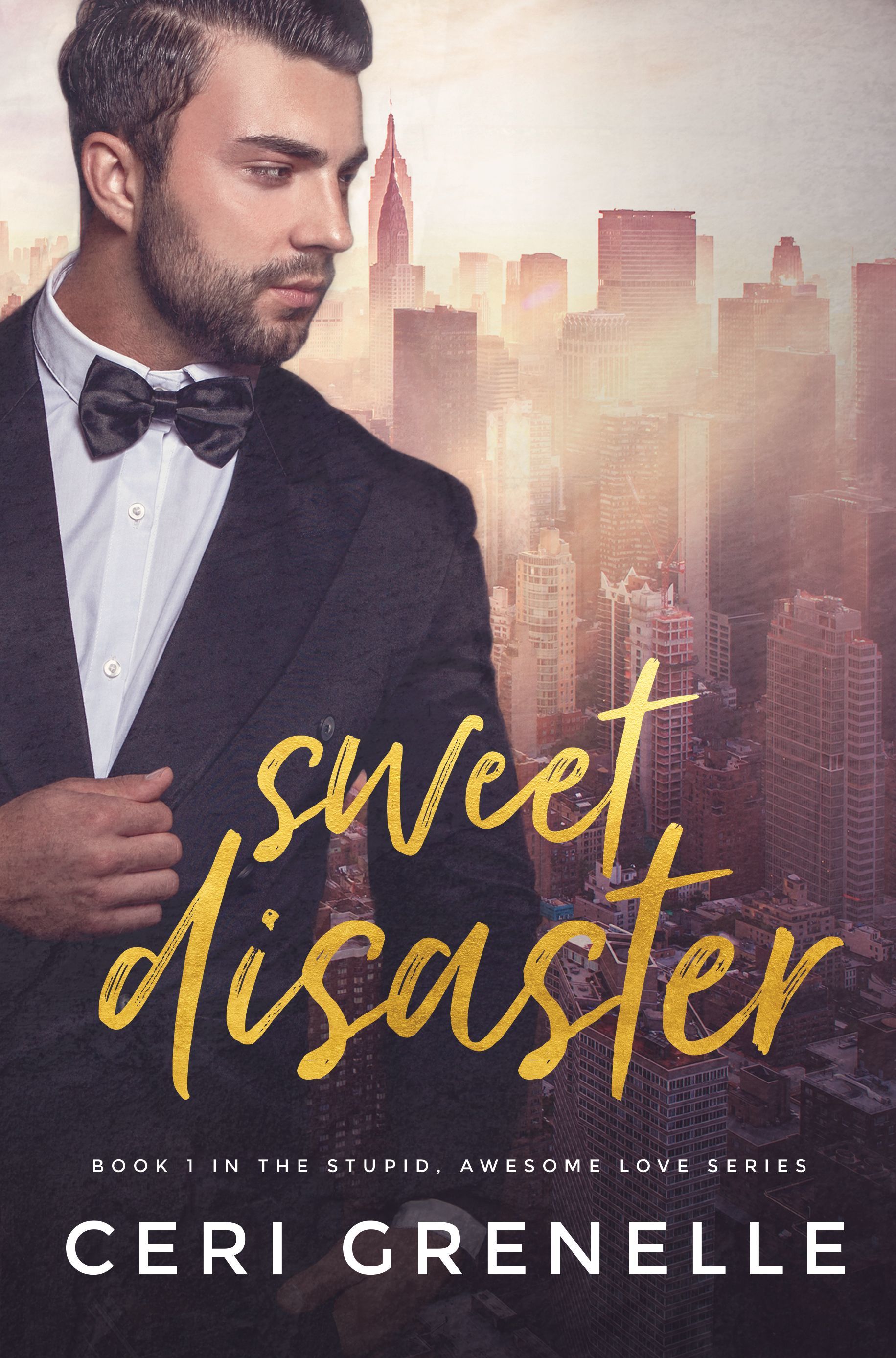 Stupid Awesome Love book cover 1