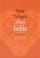About Love and About Nothing Else book cover