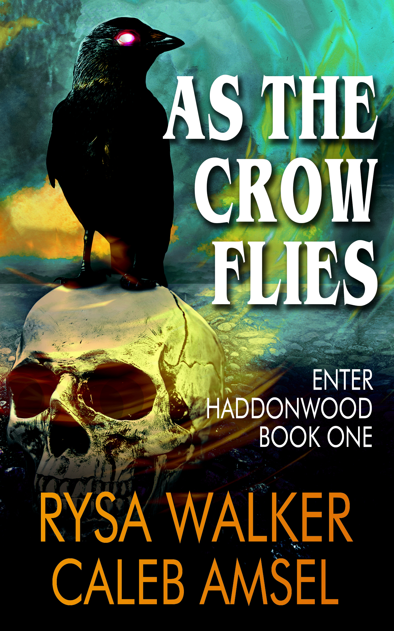 As the Crow Flies book cover