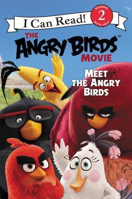 The Angry Birds Movie book cover