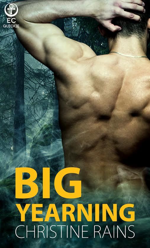 Sasquatch Susies book cover 1