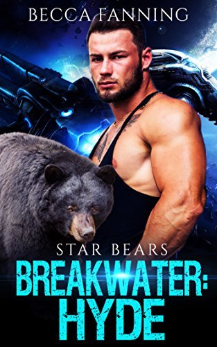 Breakwater book cover