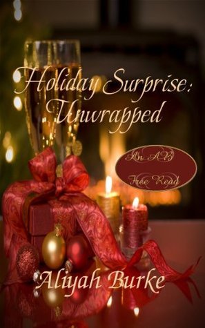 Holiday Surprise book cover