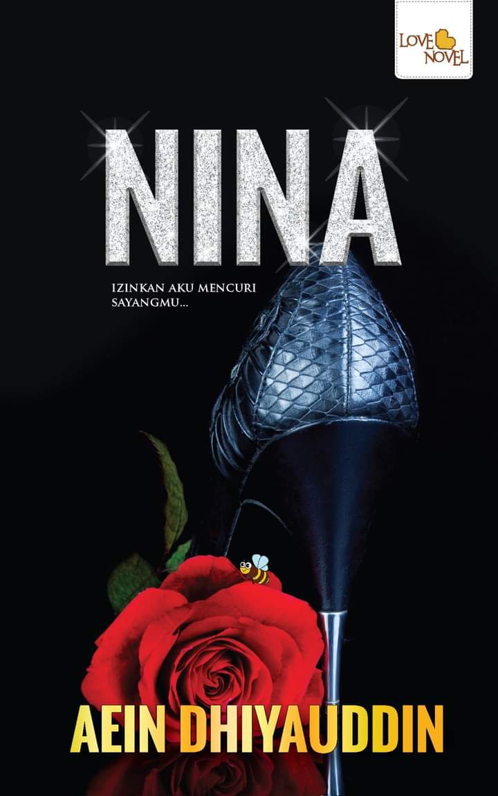 Nina book cover