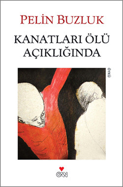 Kanatları Ölü Açıklığında book cover