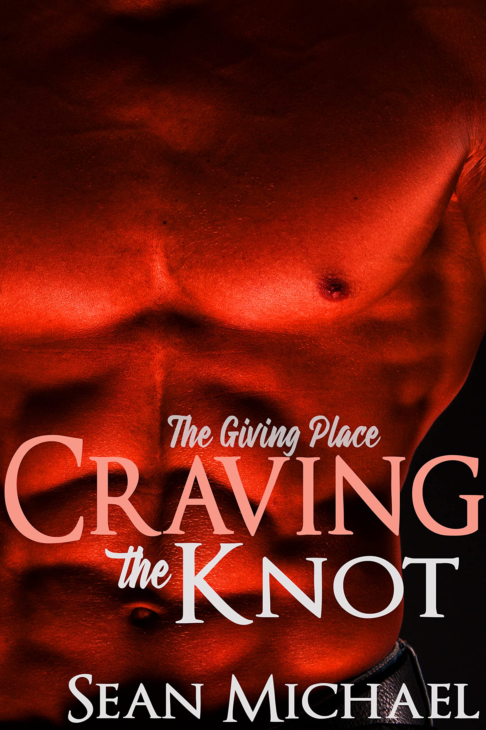The Giving Place book cover 2