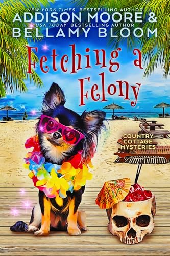 Fetching a Felony book cover