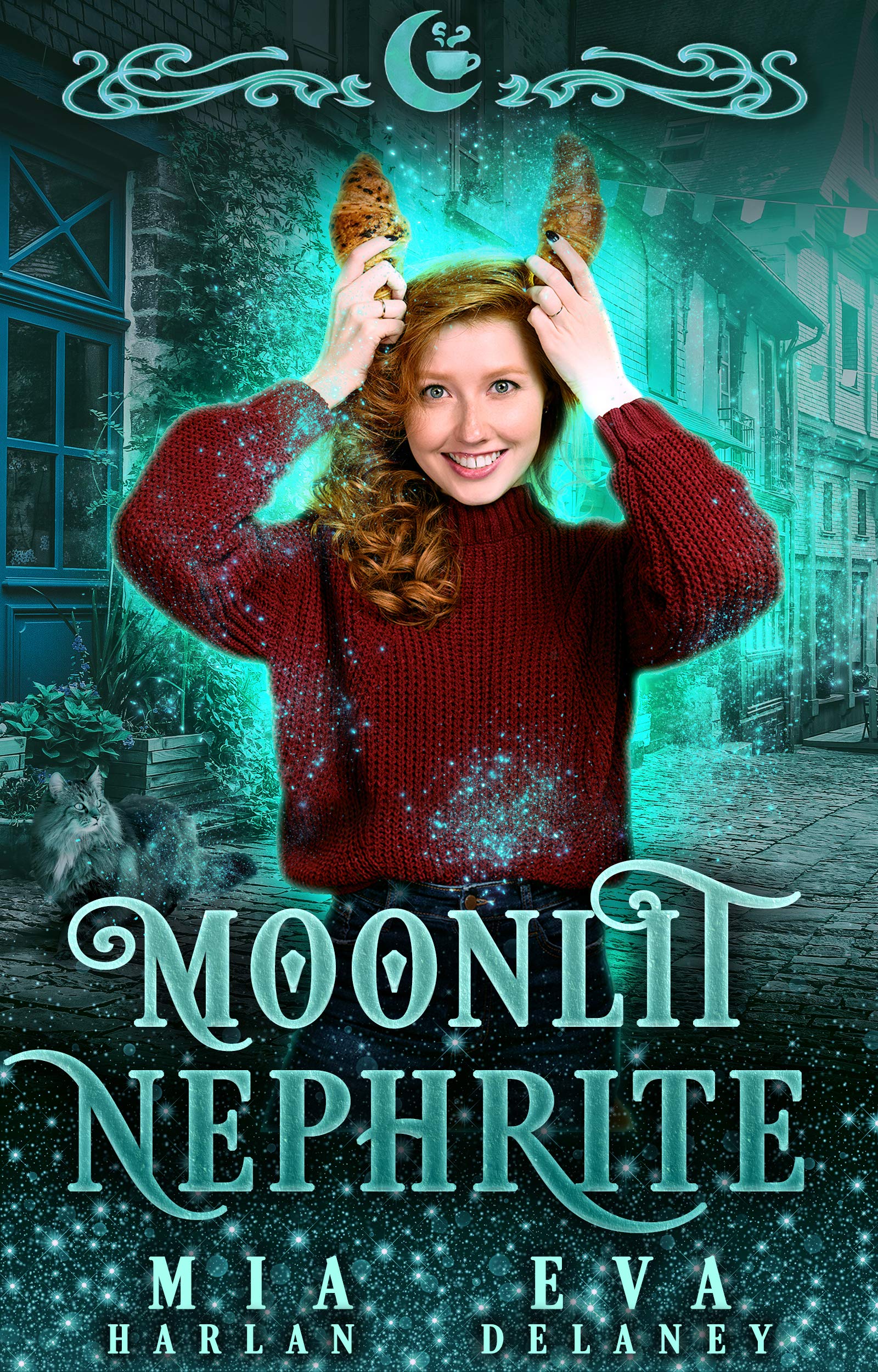 Moonlit Falls book cover 1