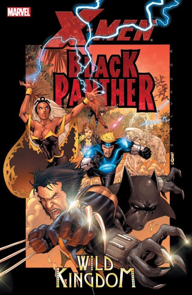 Black Panther (2005) (Collected Editions) book cover 2