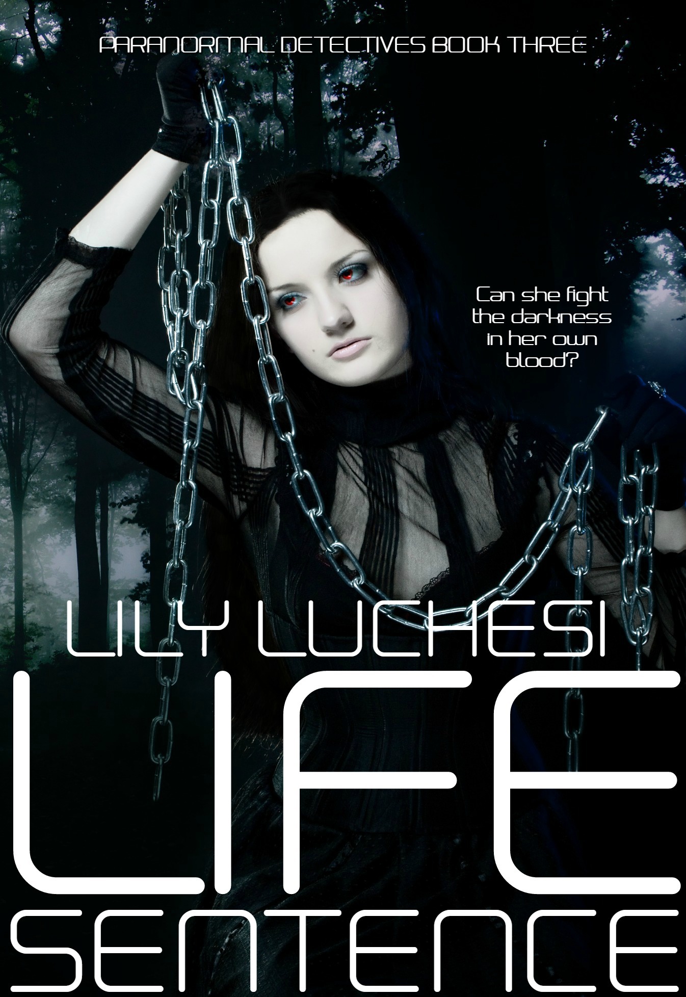 Paranormal Detectives book cover 3