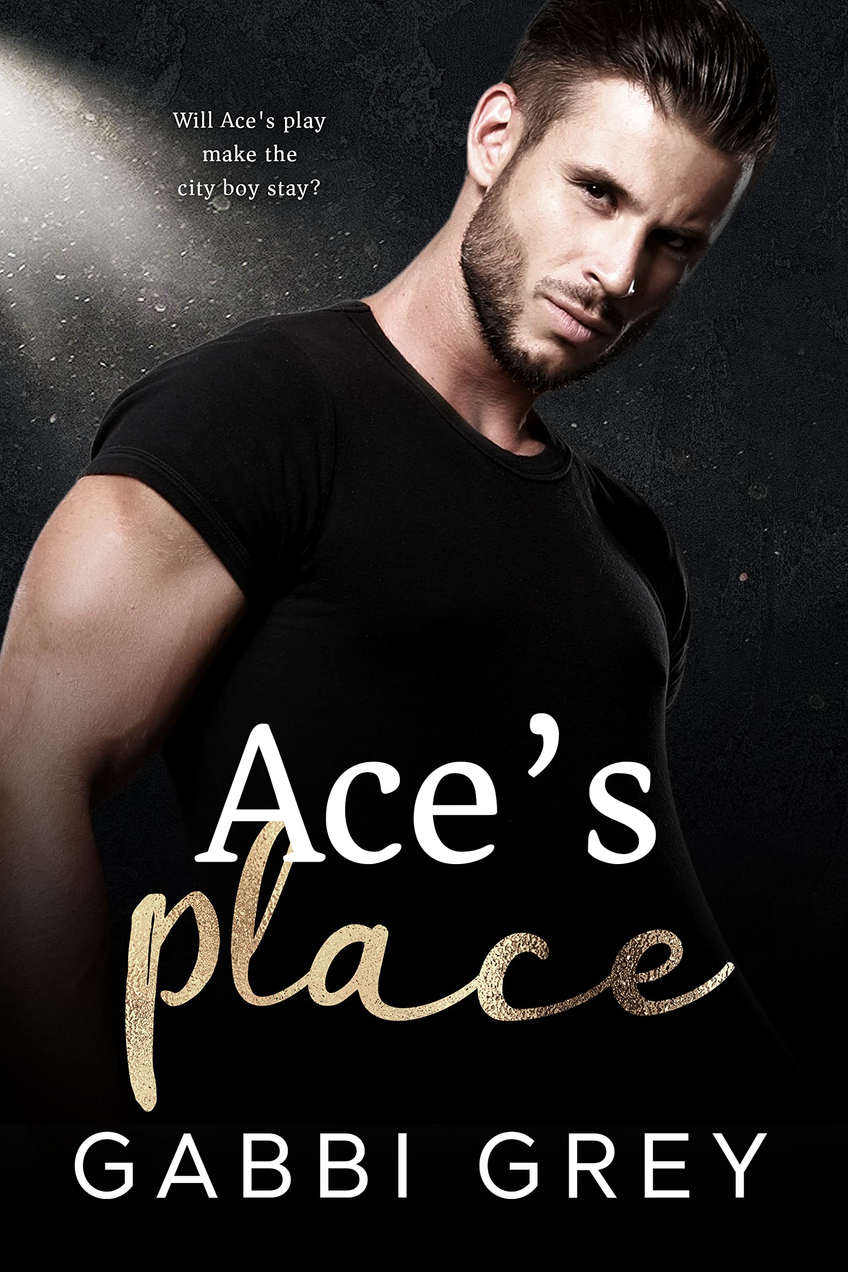 Ace's Place book cover