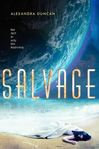 Salvage book cover 1