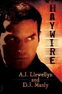 Haywire book cover 1