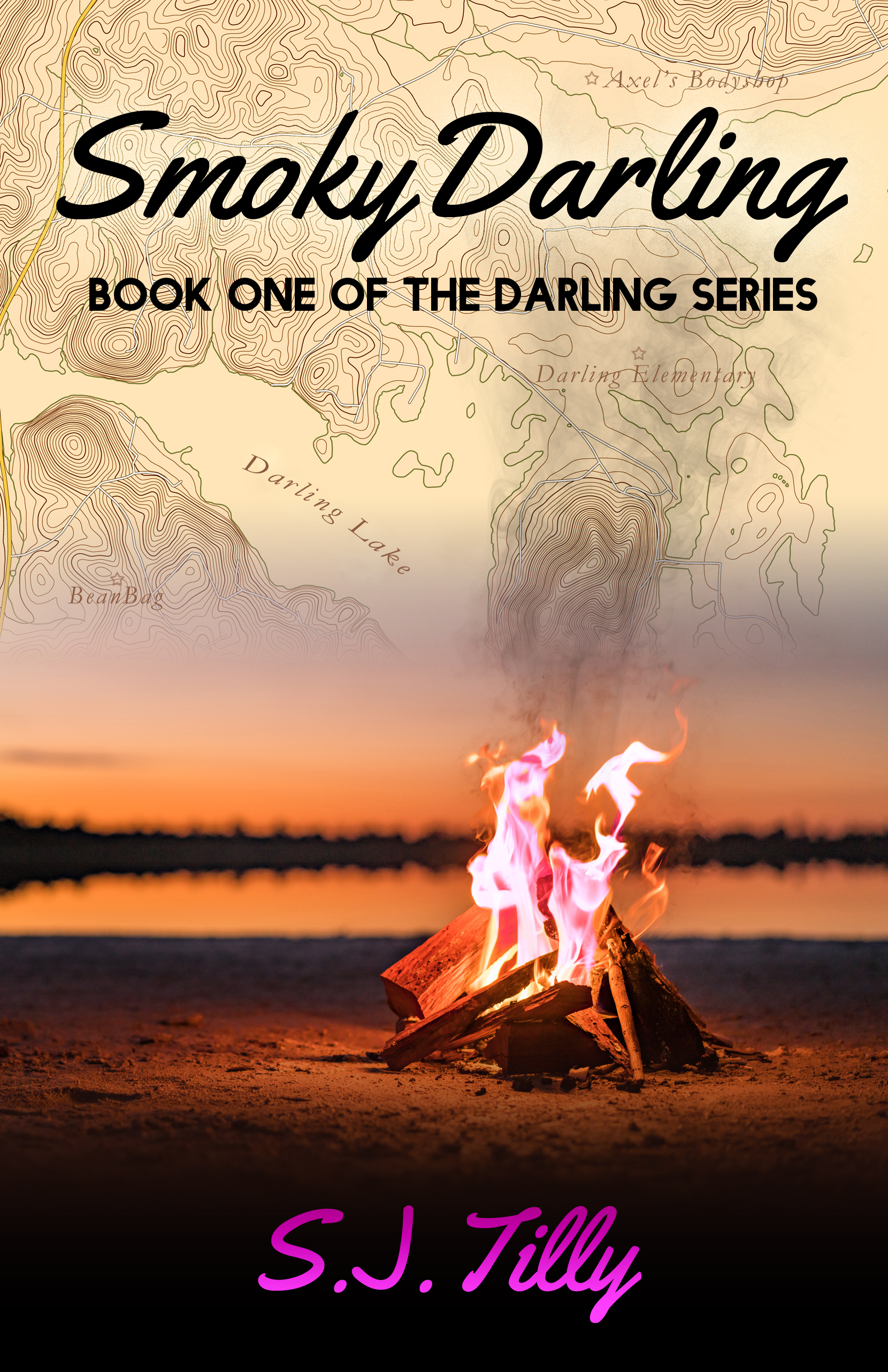 Darling book cover 1